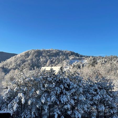 Panska Hata Jaremče Esterno foto