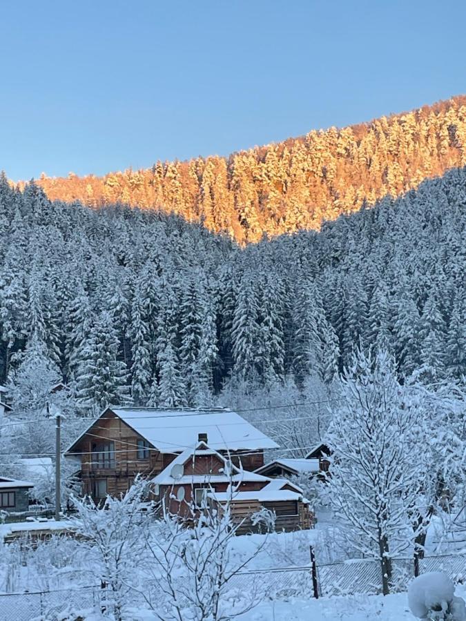 Panska Hata Jaremče Esterno foto